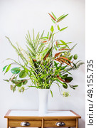 White vase with bunch of various green plant on table. Florist arrangements with variety of green tropical plants. Home decor with palm , fern and bamboo leaves bouquet, front view. Стоковое фото, агентство Ingram Publishing / Фотобанк Лори