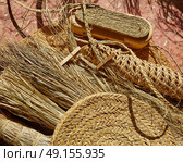 Esparto halfah grass used for crafts as cords basketry and espadrilles. Стоковое фото, агентство Ingram Publishing / Фотобанк Лори