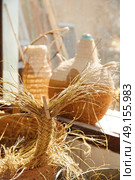 Esparto halfah grass used for crafts as cords basketry and espadrilles. Стоковое фото, агентство Ingram Publishing / Фотобанк Лори