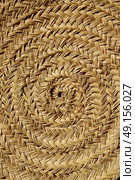 Esparto halfah grass used for crafts as cords basketry and espadrilles. Стоковое фото, агентство Ingram Publishing / Фотобанк Лори