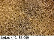 Esparto halfah grass used for crafts as cords basketry and espadrilles. Стоковое фото, агентство Ingram Publishing / Фотобанк Лори