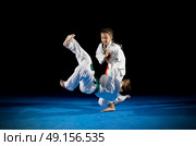 Children martial arts fighters isolated. Стоковое фото, агентство Ingram Publishing / Фотобанк Лори