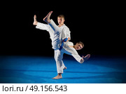 Boys martial arts fighters isolated. Стоковое фото, агентство Ingram Publishing / Фотобанк Лори