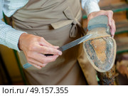 Cobbler scraping sole of shoe with sharp blade. Стоковое фото, агентство Ingram Publishing / Фотобанк Лори