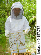 Beekeeper dismantling beehive. Стоковое фото, агентство Ingram Publishing / Фотобанк Лори