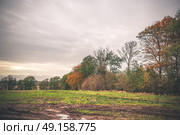 Muddy wheel tracks on a field in the fall surrounded by trees and in cloudy weather. Стоковое фото, агентство Ingram Publishing / Фотобанк Лори