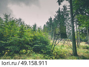 Hunting tower in green camoflage in a forest. Стоковое фото, агентство Ingram Publishing / Фотобанк Лори