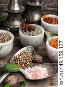 choice Indian spice. set of aromatic Indian spices and condiments on wooden retro background. Стоковое фото, агентство Ingram Publishing / Фотобанк Лори