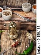 choice Indian spice. set of aromatic Indian spices and condiments on wooden retro background. Стоковое фото, агентство Ingram Publishing / Фотобанк Лори