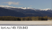 Trees with snowcapped mountain in the background, Highway 16, Yellowhead Highway, British Columbia, Canada. Стоковое фото, агентство Ingram Publishing / Фотобанк Лори