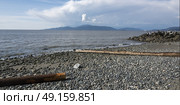 Logs and pebbles on Wreck Beach, Foreshore Trail, Vancouver, British Columbia, Canada. Стоковое фото, агентство Ingram Publishing / Фотобанк Лори