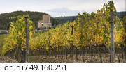 Scenic view of houses in village with vineyards, Radda in Chianti, Tuscany, Italy. Стоковое фото, агентство Ingram Publishing / Фотобанк Лори
