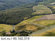 Aerial view of vineyards in valley, Radda in Chianti, Tuscany, Italy. Стоковое фото, агентство Ingram Publishing / Фотобанк Лори