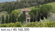 Elevated view of house with vineyards, Radda in Chianti, Tuscany, Italy. Стоковое фото, агентство Ingram Publishing / Фотобанк Лори