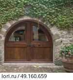 Ivy plants growing on exterior wall of house, Radda in Chianti, Tuscany, Italy. Стоковое фото, агентство Ingram Publishing / Фотобанк Лори
