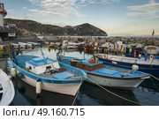 Fishing boats moored at harbor, Sant'Angelo, Ischia Island, Campania, Italy. Стоковое фото, агентство Ingram Publishing / Фотобанк Лори