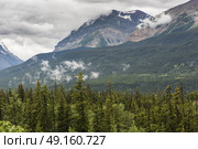Scenic view of trees with mountains against cloudy sky, Waterton Lakes National Park, Southern Alberta, Alberta, Canada. Стоковое фото, агентство Ingram Publishing / Фотобанк Лори