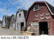 Fishing sheds at harbor, Lot 18, Prince County, Prince Edward Island, Canada. Стоковое фото, агентство Ingram Publishing / Фотобанк Лори
