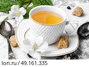 Chinese green tea with Jasmine. glass of herbal tea with the aroma of Jasmine flower. Стоковое фото, агентство Ingram Publishing / Фотобанк Лори