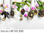 Tea spoons with tea leaves. assortment of herbal teas in tea spoons on wooden background. Стоковое фото, агентство Ingram Publishing / Фотобанк Лори
