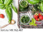 Smoothies with basil. Freshly blended green basil smoothie in glass jar. Стоковое фото, агентство Ingram Publishing / Фотобанк Лори