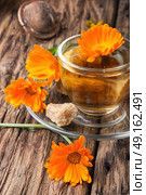 Herbal tea with calendula flowers. Herbal tea with decoction of marigold flowers. Стоковое фото, агентство Ingram Publishing / Фотобанк Лори