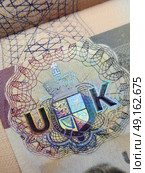 Close-Up of a Security Feature in a Passport Document. Стоковое фото, фотограф Мара Фрибус / Фотобанк Лори