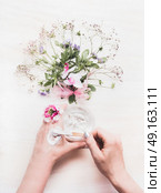 Female Hands test lubricate herbal dermatology cosmetic hygienic cream for beauty and skincare with flowers and herbs bunch on white wooden background, top view. Botanical cosmetic and  beauty concept. Стоковое фото, агентство Ingram Publishing / Фотобанк Лори