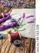 Lavender bouquet embroidery. Embroidery bouquet of lavender and tools of needlework. Стоковое фото, агентство Ingram Publishing / Фотобанк Лори