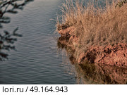 in lesotho mlilwane wildlife santuary the pound lake and  tree reflection in water. Стоковое фото, агентство Ingram Publishing / Фотобанк Лори