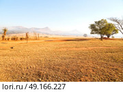 blur in swaziland   mlilwane wildlife  nature  reserve mountain and tree. Стоковое фото, агентство Ingram Publishing / Фотобанк Лори