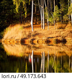in lesotho mlilwane wildlife santuary the pound lake and  tree reflection in water. Стоковое фото, агентство Ingram Publishing / Фотобанк Лори