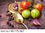 domestic pickle tomato. Стоковое фото, агентство Ingram Publishing / Фотобанк Лори