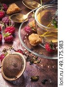 berry tea with raspberries. Autumn warming and anti-cold tea with raspberries. Стоковое фото, агентство Ingram Publishing / Фотобанк Лори