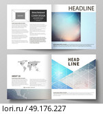 The vector illustration of the editable layout of two covers templates for square design bi fold brochure, magazine, flyer, booklet. Molecule structure. Science, technology concept. Polygonal design.. The vector illustration of the editable layout of two covers templates for square design bi fold brochure, magazine, flyer, booklet. Molecule structure. Science, technology concept. Polygonal design. Стоковая иллюстрация, агентство Ingram Publishing / Фотобанк Лори
