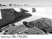 blur in iran antique palace and   caravanserai old contruction for travel people. Стоковое фото, агентство Ingram Publishing / Фотобанк Лори