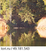 in lesotho mlilwane wildlife santuary the pound lake and  tree reflection in water. Стоковое фото, агентство Ingram Publishing / Фотобанк Лори