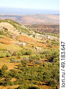 dades valley in atlas moroco africa ground tree  and nobody. Стоковое фото, агентство Ingram Publishing / Фотобанк Лори