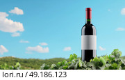 An Elegant Wine Bottle is Enchantingly Beautifully Surrounded by a Lush and Picturesque Vineyard Scenery. Стоковое AI-изображение, AI-художник Anastasy Yarmolovich / Фотобанк Лори