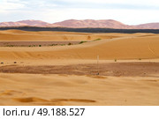 old fossil in  the desert of morocco sahara and rock  stone    sky. Стоковое фото, агентство Ingram Publishing / Фотобанк Лори