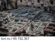 blur in morocco africa the antique tannery near the medina . Стоковое фото, агентство Ingram Publishing / Фотобанк Лори