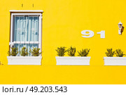 blur in south africa cape town    bo kaap architecture   like   texture background. Стоковое фото, агентство Ingram Publishing / Фотобанк Лори