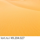 the empty quarter  and outdoor  sand  dune in oman old desert rub al khali . Стоковое фото, агентство Ingram Publishing / Фотобанк Лори