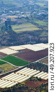 from high coultivation of vegetable in the greenhouse in jordan. Стоковое фото, агентство Ingram Publishing / Фотобанк Лори