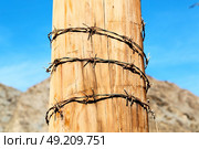 and  in oman barbwire in the  background . Стоковое фото, агентство Ingram Publishing / Фотобанк Лори
