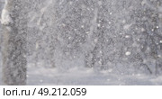 Winter landscape during snowfall. Winter Christmas abstract background on super slow motion. Стоковое видео, видеограф Андрей Армягов / Фотобанк Лори