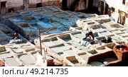 blur in morocco africa the antique tannery near the medina . Стоковое фото, агентство Ingram Publishing / Фотобанк Лори