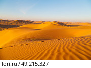 the empty quarter  and outdoor  sand  dune in oman old desert rub   al khali . Стоковое фото, агентство Ingram Publishing / Фотобанк Лори