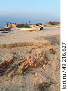 and seagull near ocean in oman boat in the coastline . Стоковое фото, агентство Ingram Publishing / Фотобанк Лори