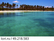 coastline and rock in the  blue lagoon relax  of isla contoy  mexico. Стоковое фото, агентство Ingram Publishing / Фотобанк Лори